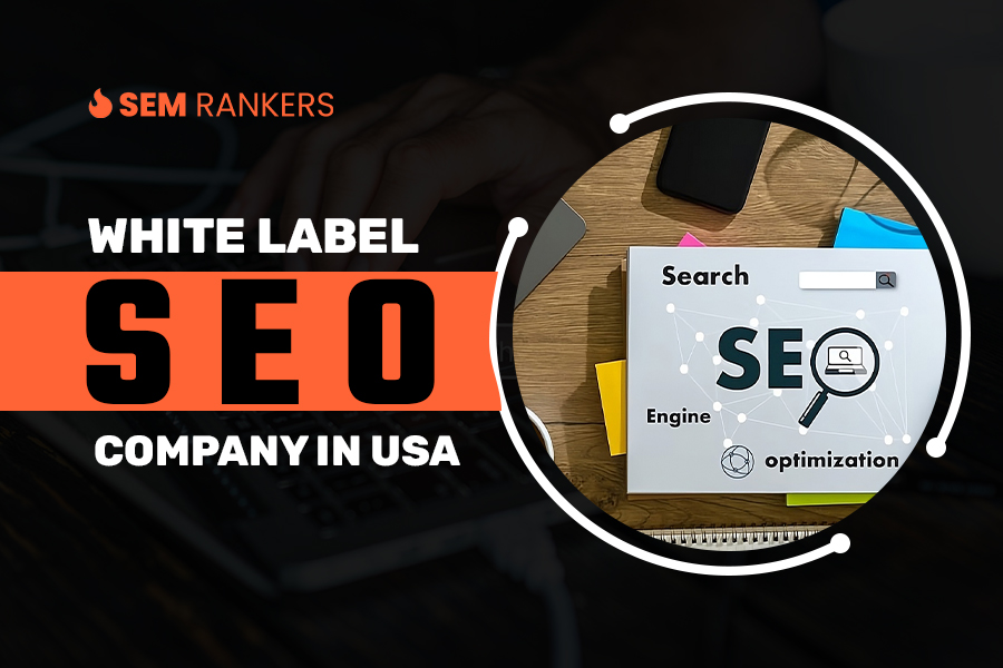 Blog 1.1 White Label SEO Company in USA