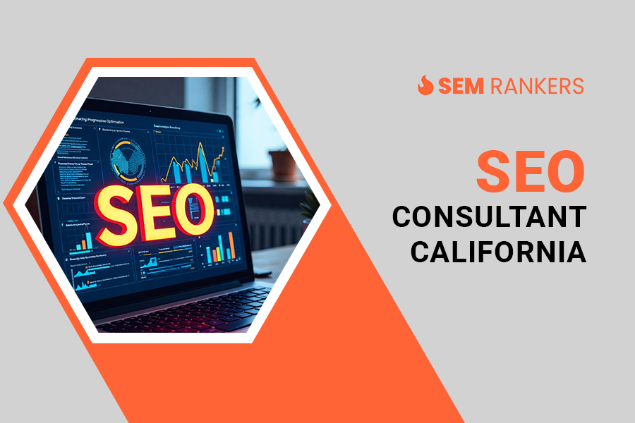 Seo Consultant In California